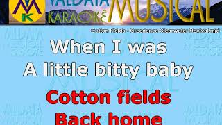 Cotton Fields Creedence Clearwater Revival Karaoke [upl. by Brezin]