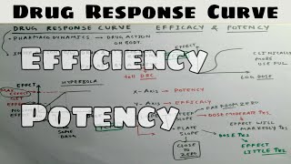 Drug Response Curve Efficacy Potency  1  Pharmacology Lecture [upl. by Hecker]