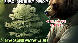 🌿 인진쑥 이렇게 좋은 거였어 몰랐던 효능과 활용법Artemisia Capillaris This Good For You Amazing Benefits and Uses [upl. by Iral]