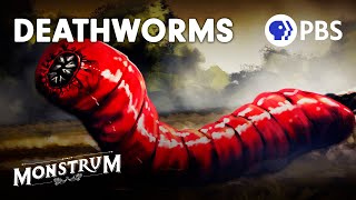 Death Worms Fact or Fiction  Monstrum [upl. by Nrol]