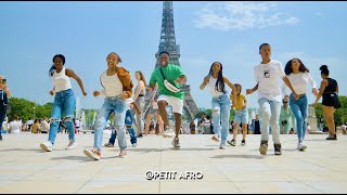 Petit Afro  Afro Dance In PARIS  Song SSUUBI [upl. by Kirstyn339]