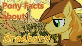 Pony Facts about Braeburn [upl. by Tloc]