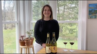 ChâteauneufduPape vs Côtes du Rhône Which French Red Wine Will Win [upl. by Baillie582]