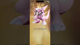 Shiny ✨ Palkia for a shiny ✨ groudon lucky 🍀 pokemon pokemongo [upl. by Bee296]