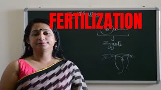 FERTILISATION explained in easy stepsCBSE and ICSE very important [upl. by Lamag784]