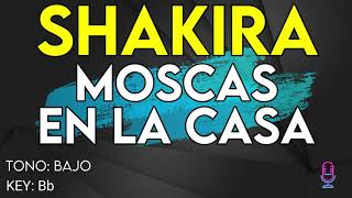 Shakira  Moscas En La Casa  karaoke Instrumental  Bajo [upl. by Weidner]