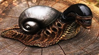 10 Weirdest Snails In The World [upl. by Eleik]