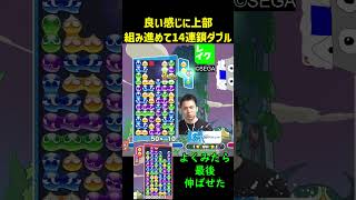 良い感じに上部組み進めて14連鎖ダブル【ぷよぷよeスポーツ】Shorts [upl. by Ayaladnot]