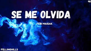 Feid Maisak  SE ME OLVIDA LetraLyrics [upl. by Assyli]