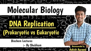 Differences In Prokaryotic amp Eukaryotic DNA Replication  Molecular Biology  Biochemistry lec [upl. by Vanhook]