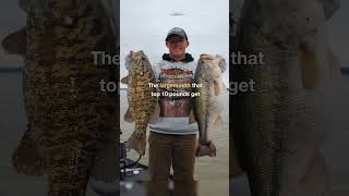 Top 25 Best Bass Lakes in the South  15 Pickwick Lake bassfishing fishing bestbasslakes [upl. by Hgielra]