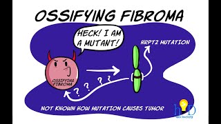 Cementoossifying fibroma  Controversies Clinical features Radiology and Histopathology [upl. by Lrub934]