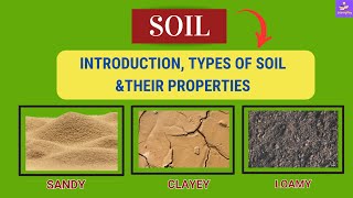 quotExploring Sandy Clayey and Loamy Soil Types Formation and Significance quot  Class 7 [upl. by Calica]