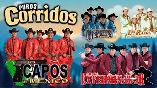 Los Originales De San Juan Los Capos De Mexico Grupo Exterminador Los Razos  CORRIDOS MIX 2022 [upl. by Anailli]