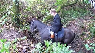 Suir Vale Harriers Hunt Drombane October 31st 2021 [upl. by Ahrens958]