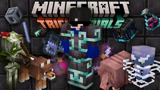 Minecraft 121 new update Tricky trial [upl. by Grail121]