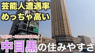 10分で分かる中目黒の住みやすさ｜恵比寿・代官山に隣接する人気のオシャレ街【Easy to live in Nakameguro】 [upl. by Leor108]