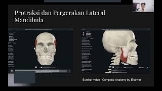 Anatomi Mandibula dan Musculusnya Regio Antebrachium Musculus dan nervusnya Art Genu dan Femur [upl. by Hamner]