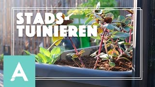 Moestuinieren in de stad  Grow Cook Eat 13 [upl. by Krys]