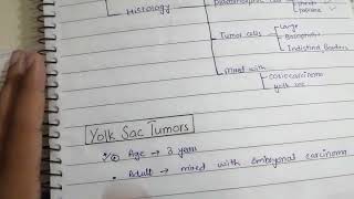 Testicular Carcinomas Part 2 Pathology  4th Lecture  Robbin [upl. by Haskel]