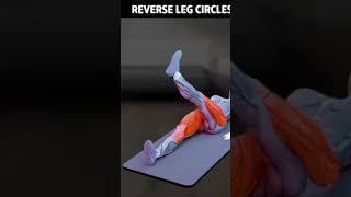 Women Home exercise for fat loss youtubeshorts fitness physicaleducation amu [upl. by Airot]