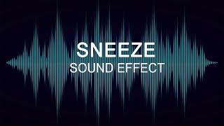 SNEEZE SOUND EFFECT [upl. by Okin]