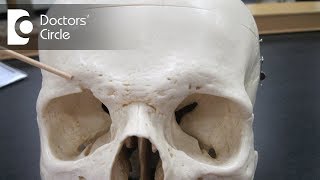 Can supraorbital bone regrow if got depressed post accident  Dr Sriram Ramalingam [upl. by Tiraj319]