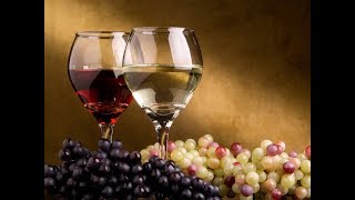 LAS PROTEÍNAS DEL VINO  QUIEBRA PROTEICA Y CLARIFICACIÓN DEL VINO [upl. by Reggie624]