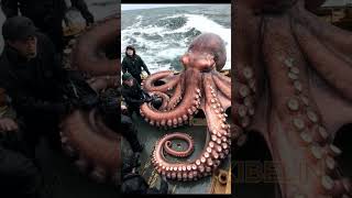 Giant Deep Sea Creature Caught by Fishermen🐙🦑🦀deepseafishing fishingexploration giantseacreature [upl. by Lrat851]