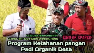 Dandim 1616Gianyar Panen Padi Bersama Dalam Rangka Dukung Program Ketahanan Pangan [upl. by Gio]