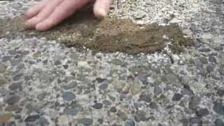 HOW TO Apply amp Match crack filler to exposed aggregate driveway [upl. by Arved]