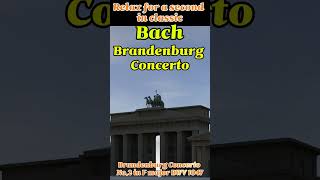 Bach Brandenburg Concertos  바흐 브란덴부르크 협주곡 Relax for a second in classic [upl. by Eirelam]