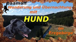 EIN HUNDELEBEN  eine Tour mit Hund und Übernachtung im Wald [upl. by Niar]