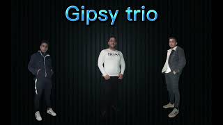 Gipsy Trio pijem sebe pijem [upl. by Naimed688]