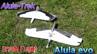 DreamFlight AlulaTREK ＆ alula evo サーマルゲット No wind 5 minutes flight SALグライダー [upl. by Garv]