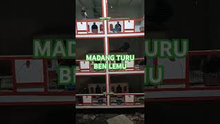 Madang turu Ben lemu [upl. by Herries]