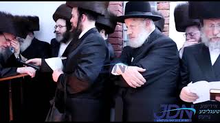 Pupa Rebbe Visiting the Tziyun Of His Uncle The Keren LDovid of Satmar  Iyar 5783 [upl. by Aranaj]