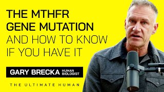 MTHFR Gene Mutation Explained How to Know If You Have It and What To Do About It with Gary Brecka [upl. by Lamarre]