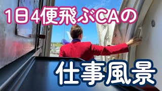 【CAの1日】お客様から見えない機内の裏方仕事に密着オーストラリア [upl. by Yhprum]