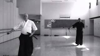 Iaido  Seitei  kata 5 to 8  20070502 [upl. by Zerlina]