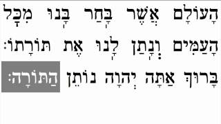 Torah Blessings ברכות התורה [upl. by Ramat]