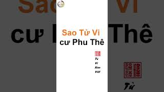 Sao Tử Vi cung Phu Thê [upl. by Dnartreb]