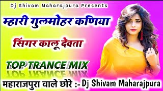 म्हारी गुलमोहर कणिया Dj Remix💥Mhari Gulmohar Kaniya Dj Remix😜Kalu Devta Meena Geet Remix🔥Dj Shivam [upl. by Ahseki]