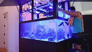 Cleaning large reef tank time lapse [upl. by Ardnuasac]