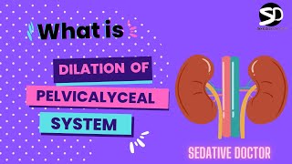 Pelvicalyceal System  Dilatation of Pelvicalyceal System  Sedative Doctor pelvickidney kidney [upl. by Casady601]