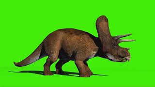 Amazing Dinosaur Facts for Kids 🦖🦕 [upl. by Attayek]