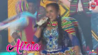 Alicia de Acomayo Coca Kintuscha en Vivo 2021 [upl. by Immaj]