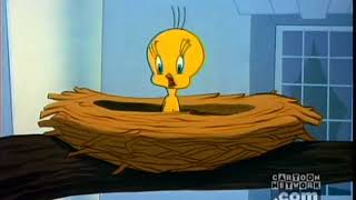 I Tawt I Taw a Puddy Tat Tweety Compilation [upl. by Codi74]