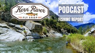 Kern River Fishing Report and PODCAST 22924 [upl. by Som274]