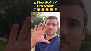 5 Shockingly Easy Steps to Harvest Honey 🍯🐝  Unbelievable Results [upl. by Schweitzer]